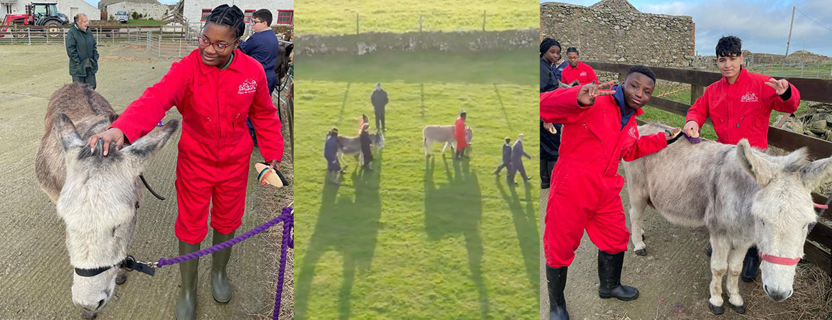 Farms for city children